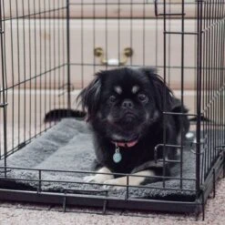 K&H Pet Products Self-Warming Pad -Pet Care Sales 100549 PT6. AC SS1800 V1614706884