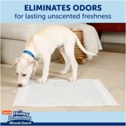 Hartz Home Protection Miracle Guard Dog Potty Pads, Regular, 50 Count -Pet Care Sales 1016854 PT4. AC SS1800 V1700861448