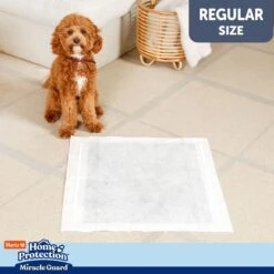 Hartz Home Protection Miracle Guard Dog Potty Pads, Regular, 50 Count -Pet Care Sales 1016854 PT5. AC SS1800 V1700861486
