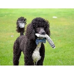 Pet Qwerks Krinkle & Squeak Newspaper Stuffing-Free Plush Dog Toy -Pet Care Sales 102271 PT3. AC SS1800 V1589901429