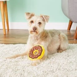 ZippyPaws Mini Donutz Squeaky Plush No Stuffing Dog Toy -Pet Care Sales 104048 PT7. AC SS1800 V1530190575