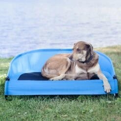 Gen7Pets Cool-Air Cot Elevated Dog Bed 13 Gen7Pets Cool-Air Cot Elevated Dog Bed -Pet Care Sales 105020 PT4. AC SS1800 V1566323753