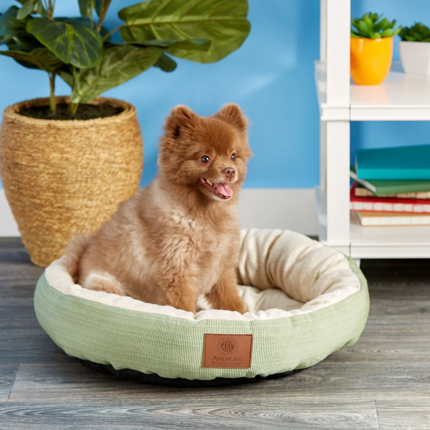 American Kennel Club AKC Casablanca Bolster Cat & Dog Bed 1 American Kennel Club AKC Casablanca Bolster Cat & Dog Bed