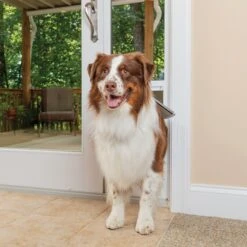 PetSafe 96-in Sliding Glass Pet Door
