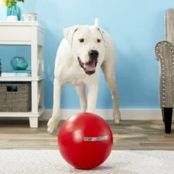 The Virtually Indestructible Ball Dog Toy, Color Varies 8 The Virtually Indestructible Ball Dog Toy, Color Varies -Pet Care Sales 106770 PT3. AC SS1800 V1545243427