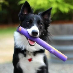 Ruff Dawg Crunch Stick Dog Fetch Toy, Color Varies 7 Ruff Dawg Crunch Stick Dog Fetch Toy, Color Varies -Pet Care Sales 108695 PT2. AC SS1800 V1602338772