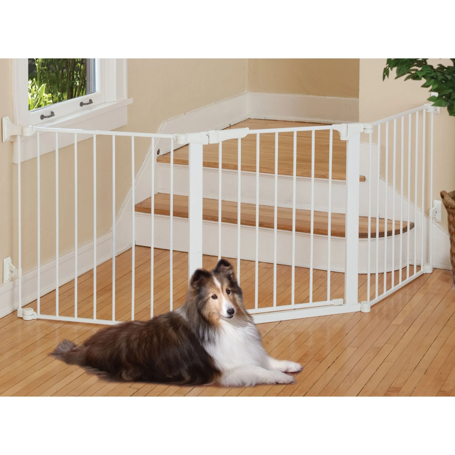 Command Pet Products Auto Closing Custom Fit Pet Gate, White 1 Command Pet Products Auto Closing Custom Fit Pet Gate, White