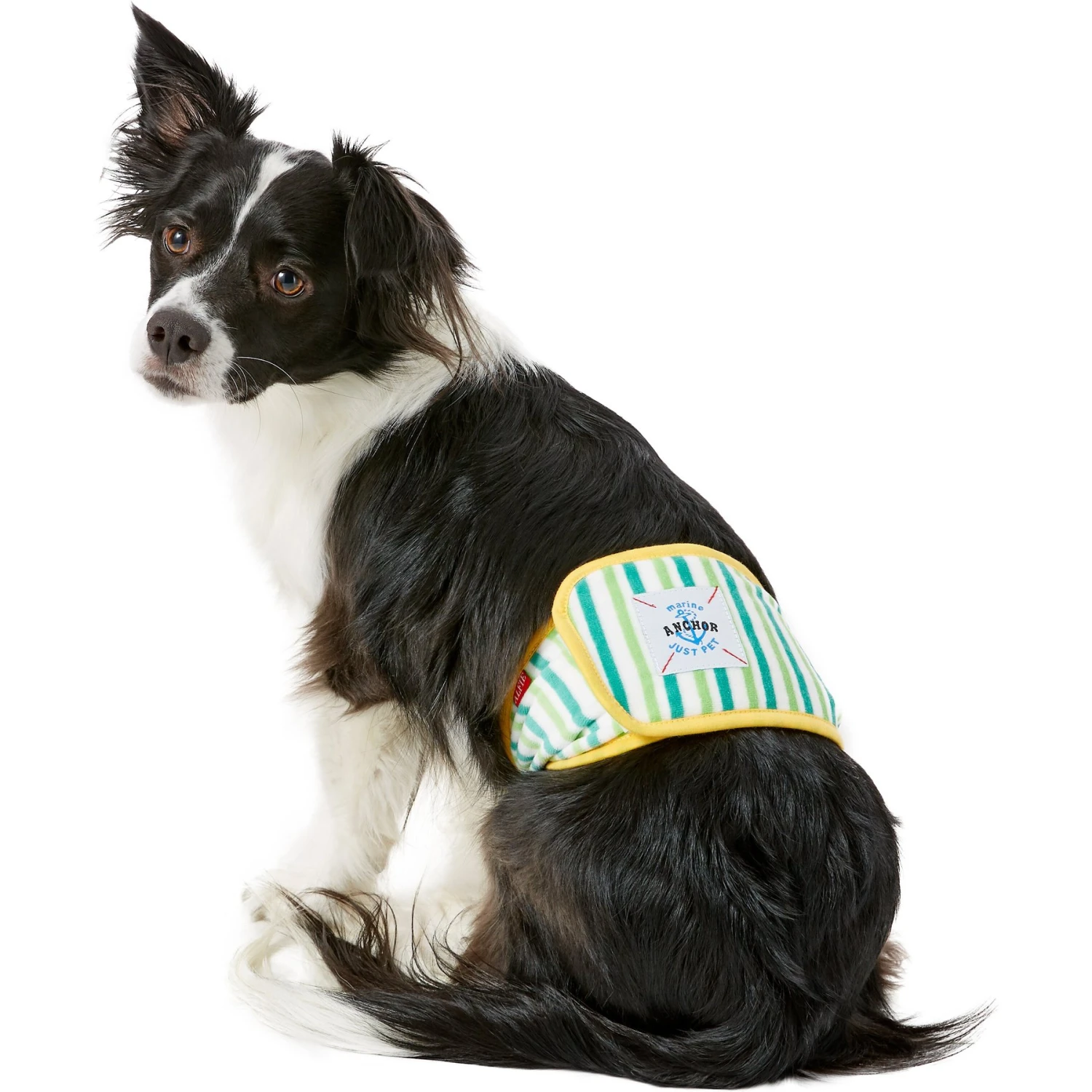 Alfie Pet Belly Band Washable Male Dog Wraps 2 Alfie Pet Belly Band Washable Male Dog Wraps - Image 2