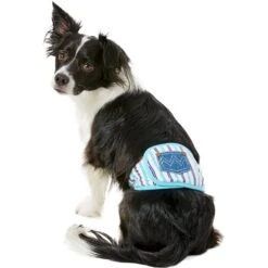 Alfie Pet Belly Band Washable Male Dog Wraps 6 Alfie Pet Belly Band Washable Male Dog Wraps -Pet Care Sales 110007 PT6. AC SS1800 V1518637607