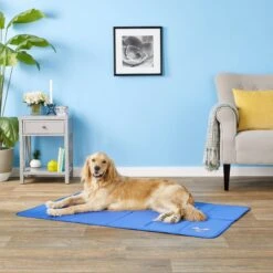 Arf Pets Self-Cooling Solid Gel Dog Crate Mat -Pet Care Sales 112038 PT3. AC SS1800 V1558556653