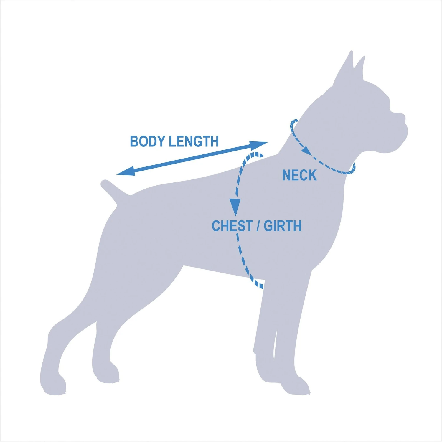 EzyDog Doggy Flotation Device Life Jacket 6 EzyDog Doggy Flotation Device Life Jacket - Image 6