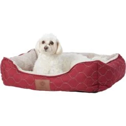 American Kennel Club AKC Circle Stitch Orthopedic Bolster Cat & Dog Bed -Pet Care Sales 115250 PT4. AC SS1800 V1569532397