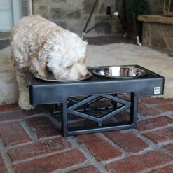 Pet Zone Designer Diner Adjustable Elevated Dog & Cat Bowls, 7-cup -Pet Care Sales 115664 PT4. AC SS1800 V1639012092