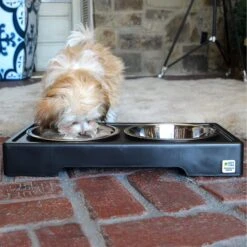 Pet Zone Designer Diner Adjustable Elevated Dog & Cat Bowls, 7-cup -Pet Care Sales 115664 PT5. AC SS1800 V1639018068