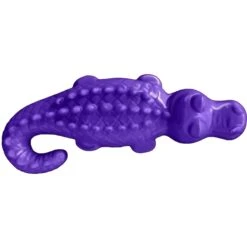 ARM & HAMMER PRODUCTS Ora Play Denta-Saurus Mint Tough Dog Chew Toy