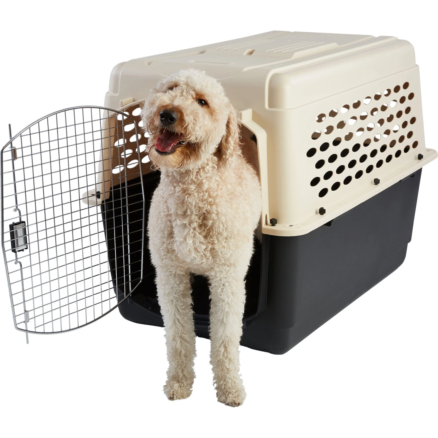 Frisco Plastic Dog & Cat Kennel, Almond & Black 1 Frisco Plastic Dog & Cat Kennel, Almond & Black