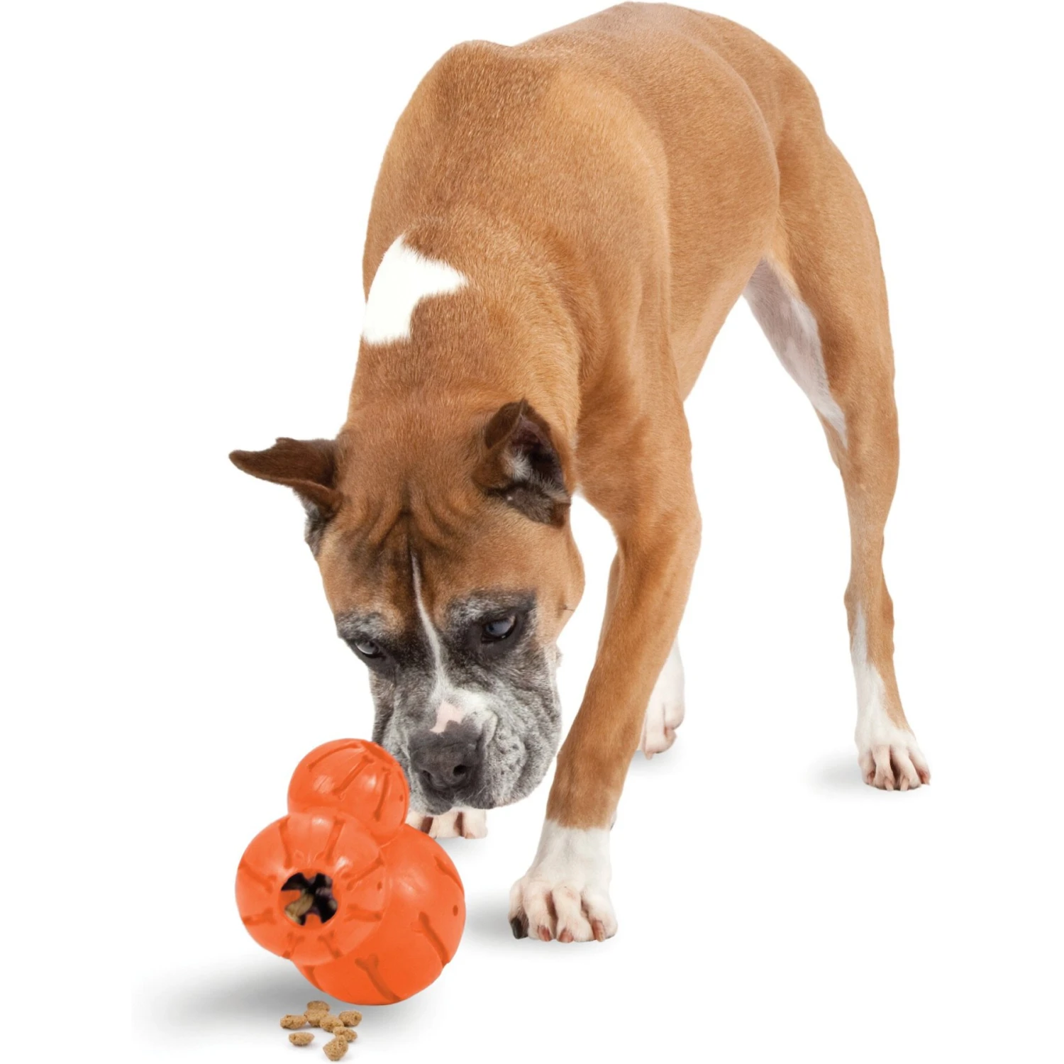 PetSafe Busy Buddy Barnacle Treat Dispenser Dog Toy 1 PetSafe Busy Buddy Barnacle Treat Dispenser Dog Toy
