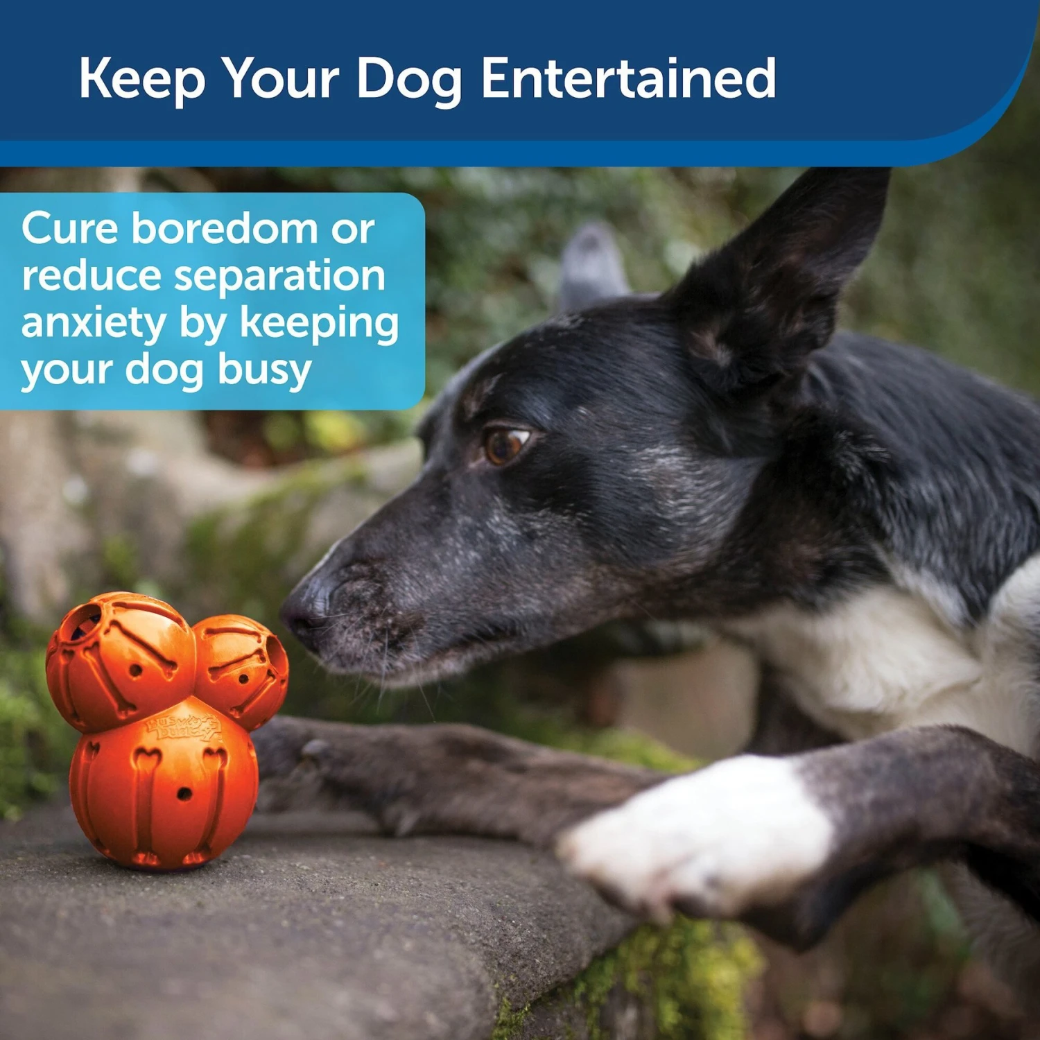 PetSafe Busy Buddy Barnacle Treat Dispenser Dog Toy 4 PetSafe Busy Buddy Barnacle Treat Dispenser Dog Toy - Image 4