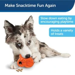 PetSafe Busy Buddy Barnacle Treat Dispenser Dog Toy 13 PetSafe Busy Buddy Barnacle Treat Dispenser Dog Toy -Pet Care Sales 121351 PT4. AC SS1800 V1599830787
