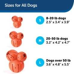 PetSafe Busy Buddy Barnacle Treat Dispenser Dog Toy 15 PetSafe Busy Buddy Barnacle Treat Dispenser Dog Toy -Pet Care Sales 121351 PT6. AC SS1800 V1599830762