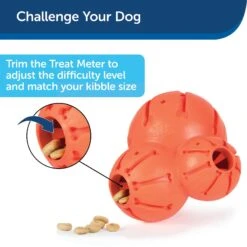 PetSafe Busy Buddy Barnacle Treat Dispenser Dog Toy 16 PetSafe Busy Buddy Barnacle Treat Dispenser Dog Toy -Pet Care Sales 121351 PT7. AC SS1800 V1599830757