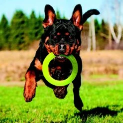 Nerf Dog Super Soaker Retriever Toss & Tug Ring Dog Toy 7 Nerf Dog Super Soaker Retriever Toss & Tug Ring Dog Toy -Pet Care Sales 121842 PT3. AC SS1800 V1493316298