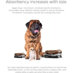 Pet Parents Washable Male & Female Dog Diapers + Extendrs -Pet Care Sales 126897 PT4. AC SS1800 V1698414633