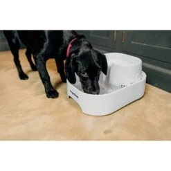 Dog Mate Large Fresh Water Plastic Dog & Cat Fountain, 192-oz -Pet Care Sales 127457 PT3. AC SS1800 V1663712299