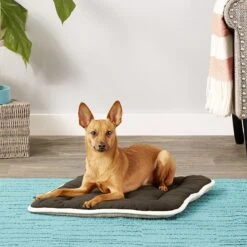 Dog Gone Smart Sleeper Cushion Dog Crate Mat -Pet Care Sales 130276 PT2. AC SS1800 V1558454911