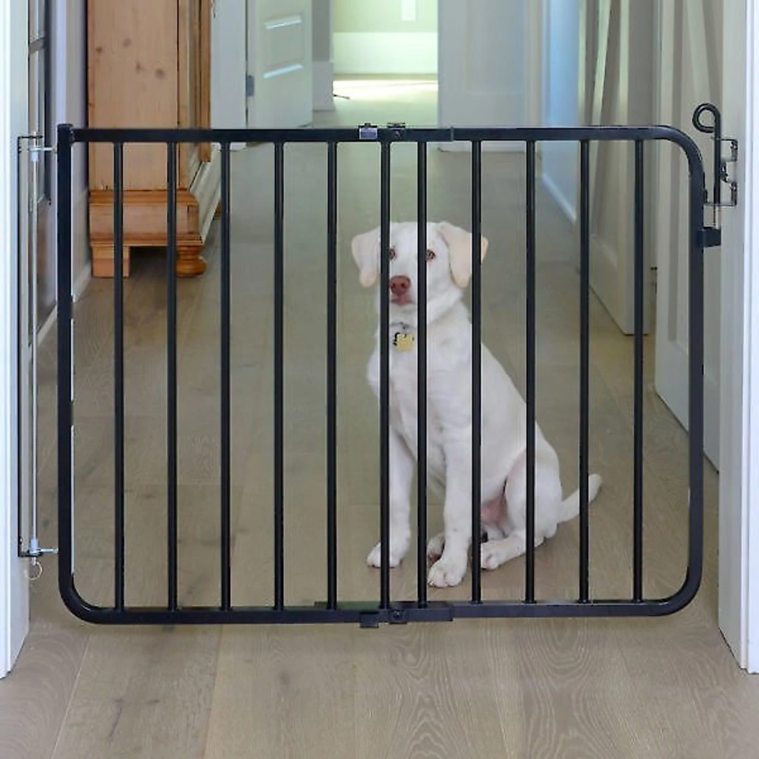 Cardinal Gates Auto-Lock Pet Gate 1 Cardinal Gates Auto-Lock Pet Gate