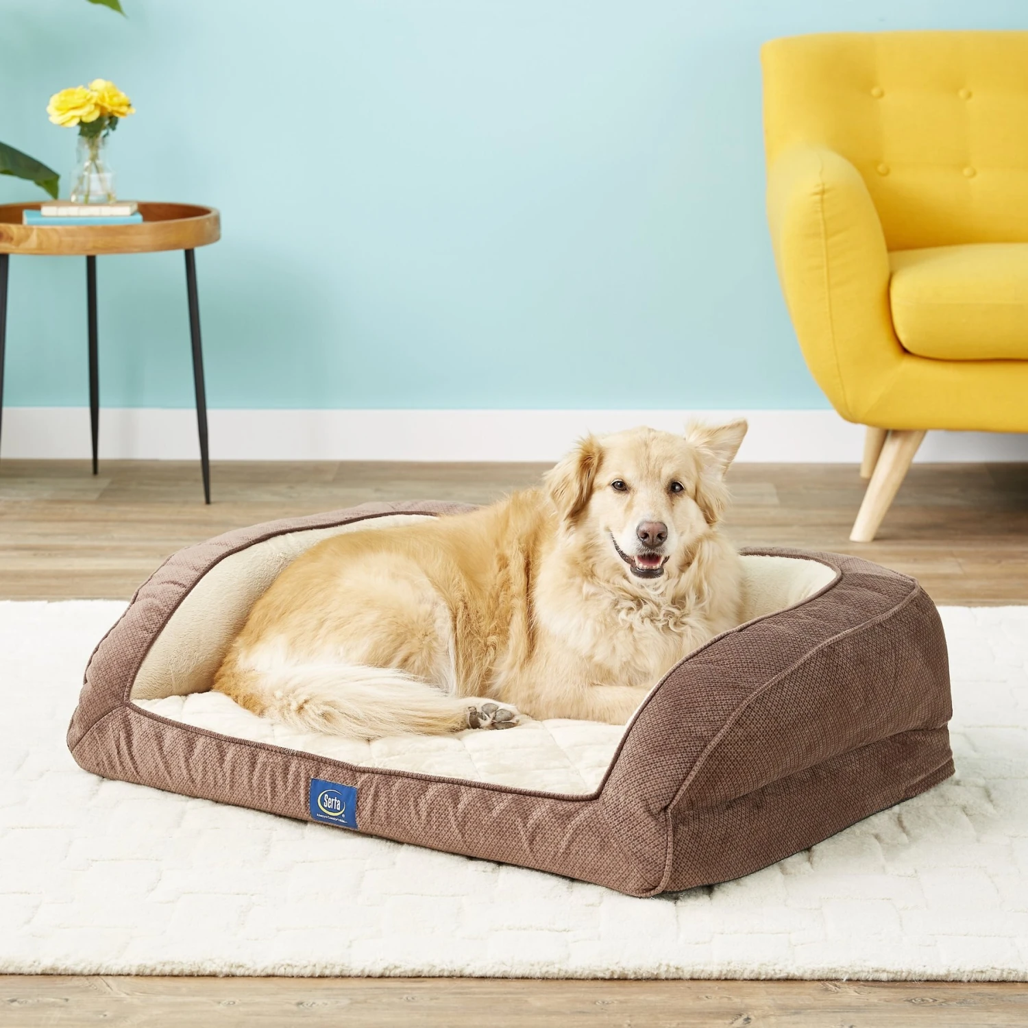Serta Quilted Orthopedic Bolster Dog Bed With Removable Cover 1 Serta Quilted Orthopedic Bolster Dog Bed With Removable Cover