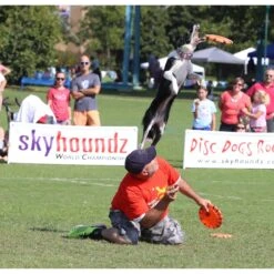 Hyperflite Jawz X-Comp Disc, Orange -Pet Care Sales 140811 PT3. AC SS1800 V1518451942