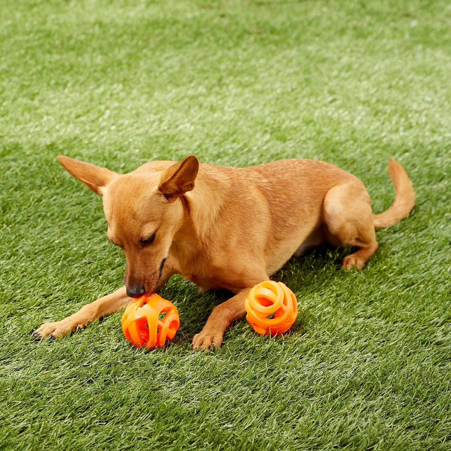 Chuckit! Air Fetch Ball 2-Pack Dog Toy 3 Chuckit! Air Fetch Ball 2-Pack Dog Toy - Image 3