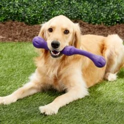 West Paw Echo Collection Zwig Dog Toy 12 West Paw Echo Collection Zwig Dog Toy -Pet Care Sales 145940 PT3. AC SS1800 V1545251825