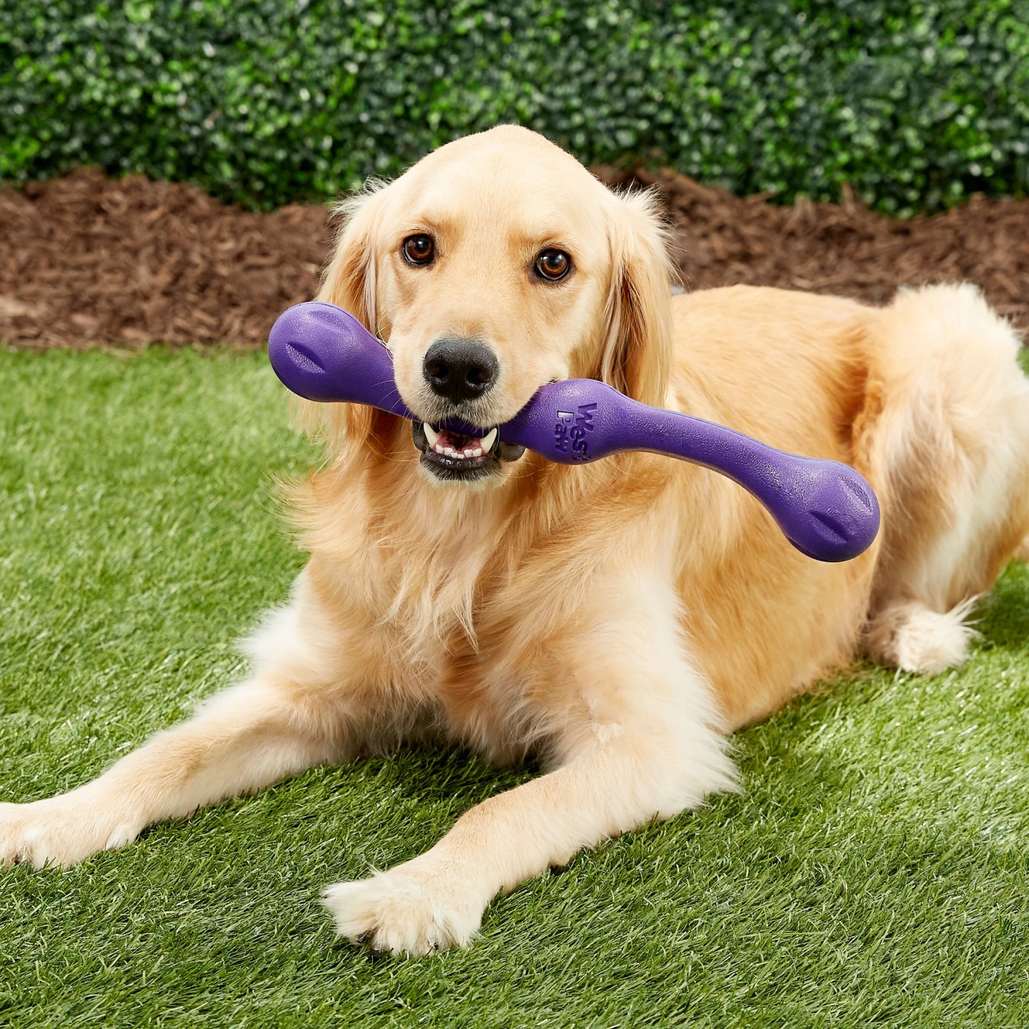 West Paw Echo Collection Zwig Dog Toy 4 West Paw Echo Collection Zwig Dog Toy - Image 4