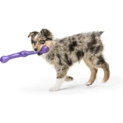 West Paw Echo Collection Zwig Dog Toy 14 West Paw Echo Collection Zwig Dog Toy -Pet Care Sales 145940 PT5. AC SS1800 V1529009747