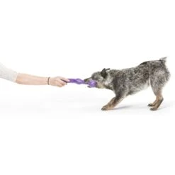 West Paw Echo Collection Zwig Dog Toy 15 West Paw Echo Collection Zwig Dog Toy -Pet Care Sales 145940 PT6. AC SS1800 V1529009768