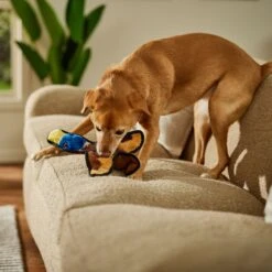 Frisco Duck Flat Plush Squeaky Dog Toy -Pet Care Sales 147069 PT3. AC SS1800 V1674158058