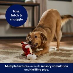 Frisco Tiger Muscle Plush Squeaky Dog Toy -Pet Care Sales 147080 PT4. AC SS1800 V1695659209