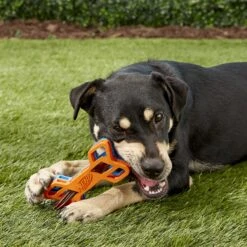 Nerf Dog EXO Treat Dispensing Bone Dog Toy 13 Nerf Dog EXO Treat Dispensing Bone Dog Toy -Pet Care Sales 148525 PT5. AC SS1800 V1531938420