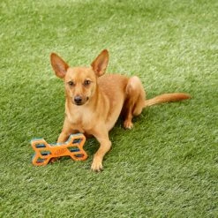 Nerf Dog EXO Treat Dispensing Bone Dog Toy 15 Nerf Dog EXO Treat Dispensing Bone Dog Toy -Pet Care Sales 148525 PT7. AC SS1800 V1545252620