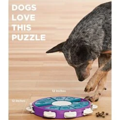 Nina Ottosson By Outward Hound Twister Puzzle Game Dog Toy -Pet Care Sales 148598 PT3. AC SS1800 V1636520250