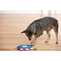 Nina Ottosson By Outward Hound Twister Puzzle Game Dog Toy -Pet Care Sales 148598 PT6. AC SS1800 V1636514895