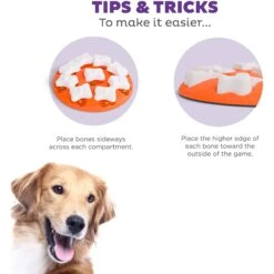 Nina Ottosson By Outward Hound Puppy Smart Dog Toy -Pet Care Sales 148603 PT3. AC SS1800 V1694287423