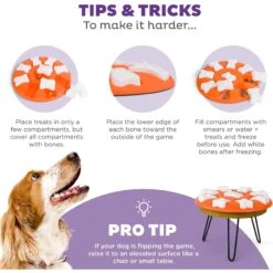 Nina Ottosson By Outward Hound Puppy Smart Dog Toy -Pet Care Sales 148603 PT4. AC SS1800 V1694286106