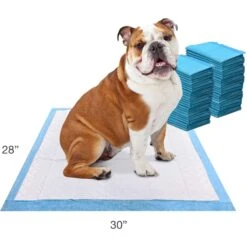 Four Paws Wee-Wee Odor Control With Febreze Freshness Dog Pads -Pet Care Sales 151622 PT6. AC SS1800 V1693914421