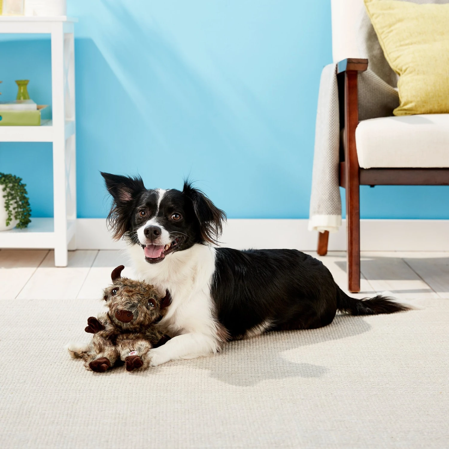 Ethical Pet Furzz Buffalo Squeaky Plush Dog Toy 2 Ethical Pet Furzz Buffalo Squeaky Plush Dog Toy - Image 2