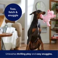 Frisco Corduroy Plush Squeaking Pig Dog Toy 10 Frisco Corduroy Plush Squeaking Pig Dog Toy -Pet Care Sales 152832 PT4. AC SS1800 V1695671001