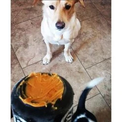 SodaPup Magnum Can Treat Dispensing Tough Dog Chew Toy -Pet Care Sales 153136 PT5. AC SS1800 V1541010309