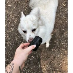 SodaPup Magnum Can Treat Dispensing Tough Dog Chew Toy -Pet Care Sales 153136 PT8. AC SS1800 V1541010311